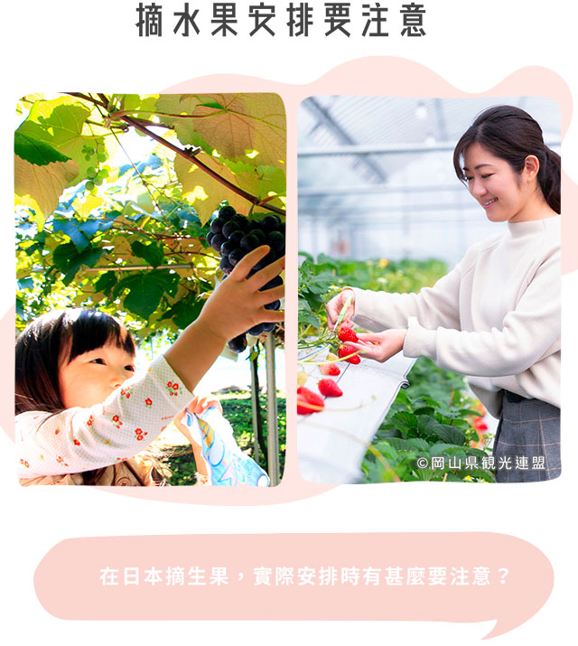 摘水果安排要注意 - 在日本摘生果，實際安排時有甚麼要注意？